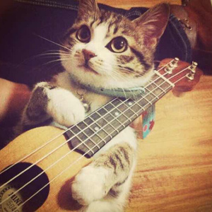 男子同性恋大雨出精视频
